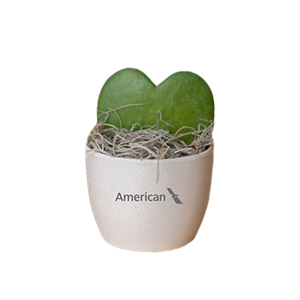 media/Product/THB/6/572576_171731_THB.png