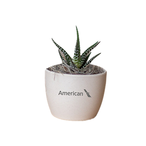 media/Product/THB/7/572577_171732_THB.png