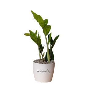 media/Product/THB/8/572578_171733_THB.png
