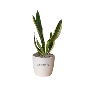 media/Product/THB/9/572579_171734_THB.png