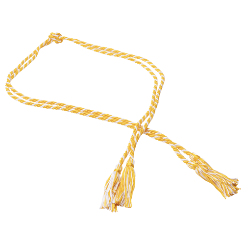 Post-Lic RN to BSN Grad Gold And White Honor Cord from Chamberlain  Marketplace